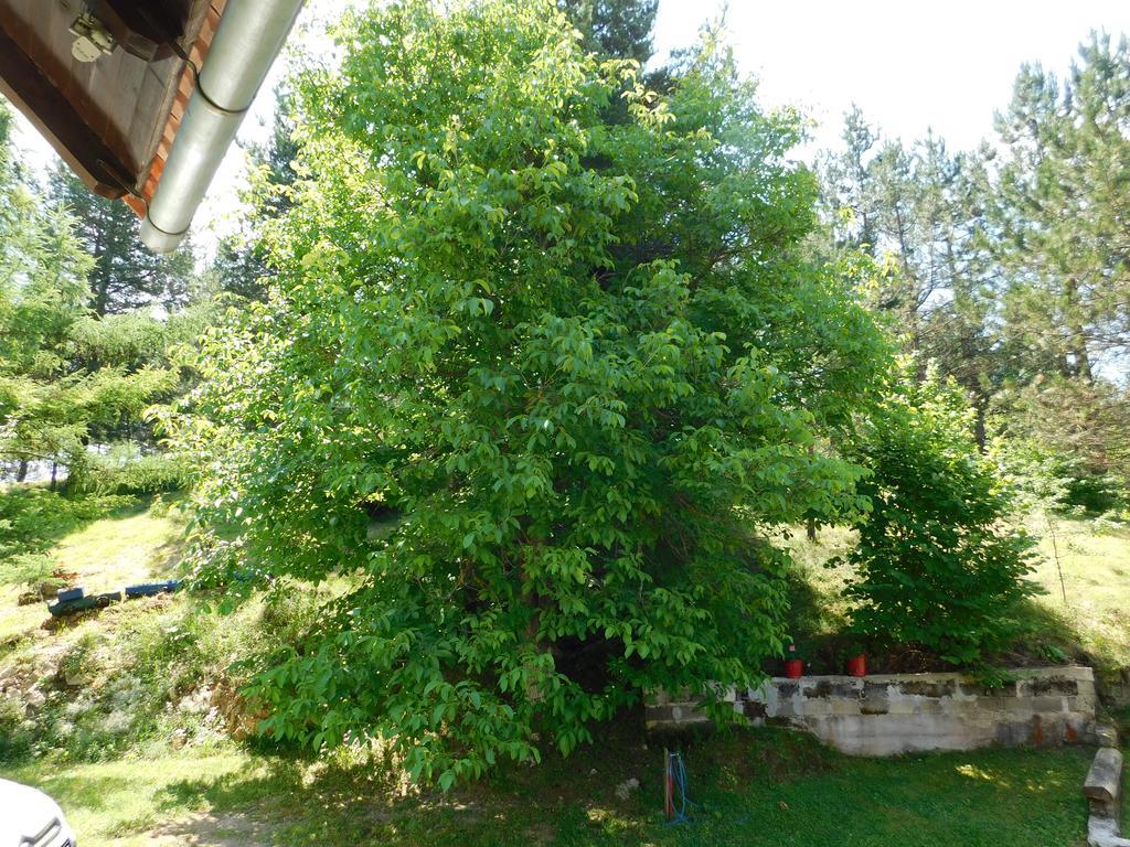 Holiday Home Lana Saborsko Kültér fotó